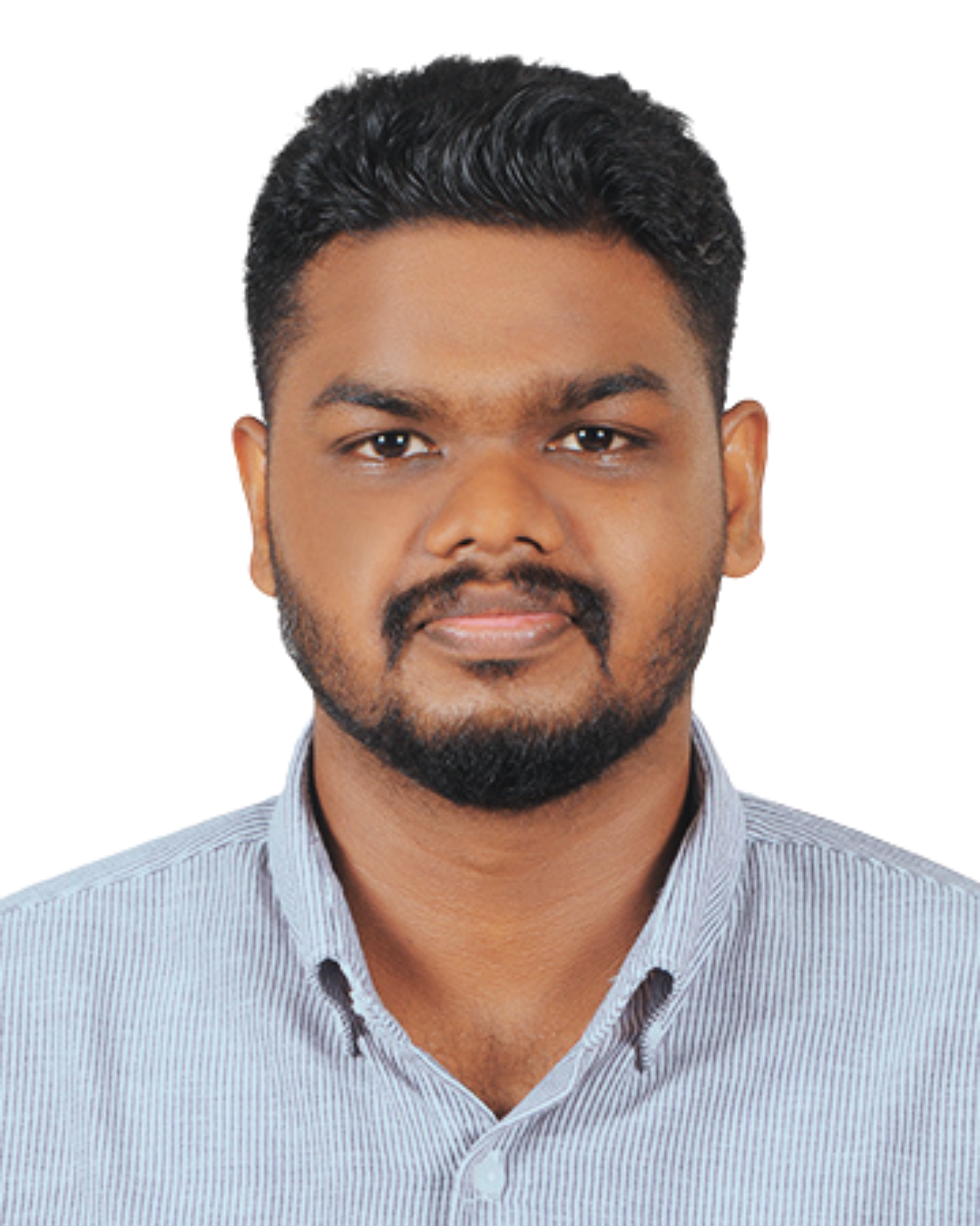seo expert